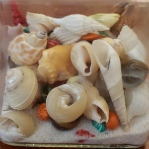 Meet your Posher, Norma